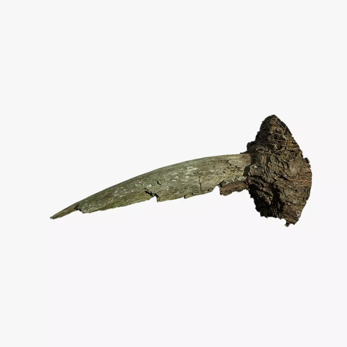 Anydrafts Pinus Branch 13 Low-poly 3D model