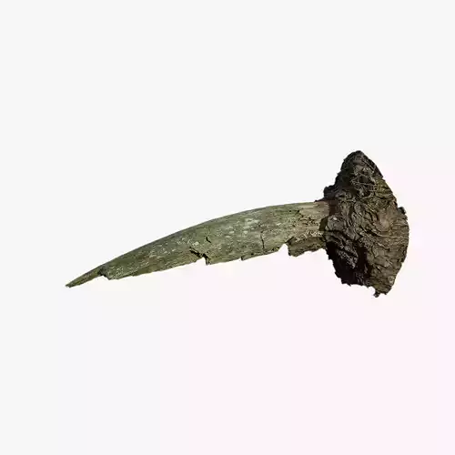 Anydrafts Pinus Branch 13