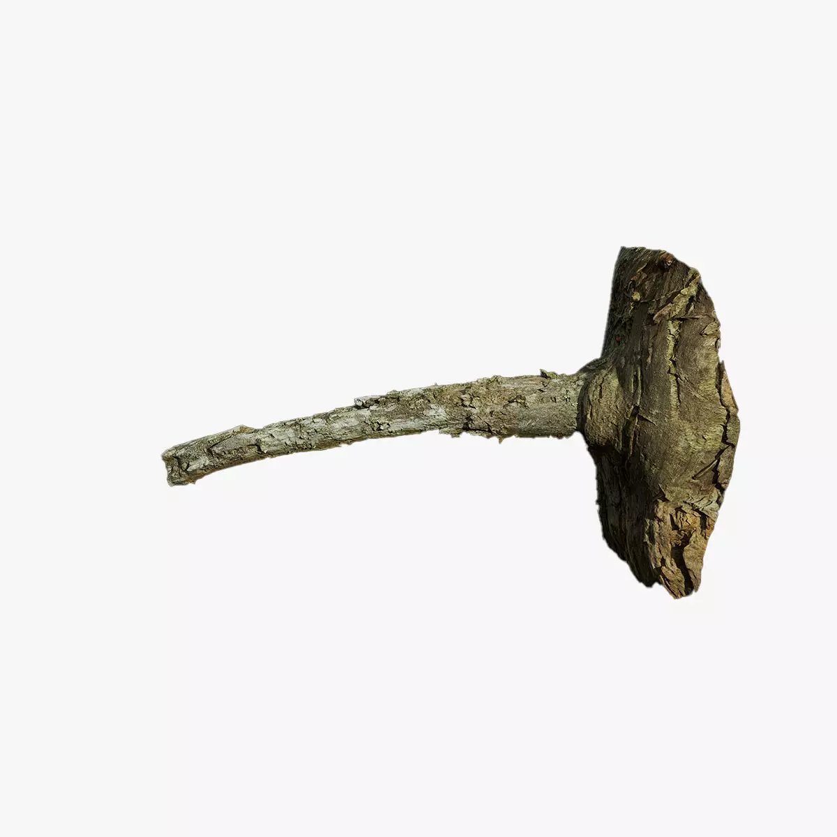 Anydrafts Pinus Branch 14 Low-poly 3D model