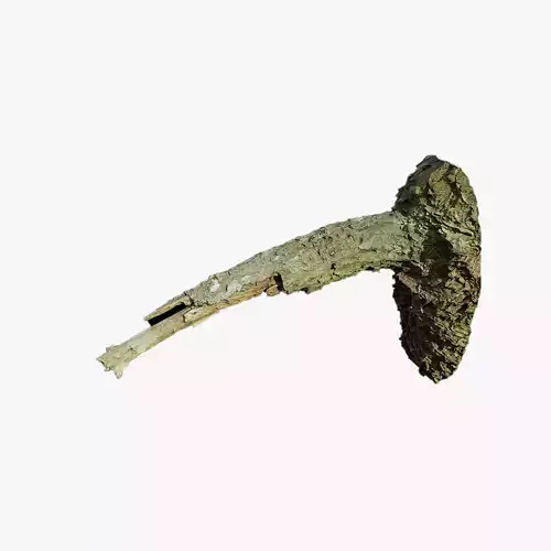 Anydrafts Pinus Branch 16