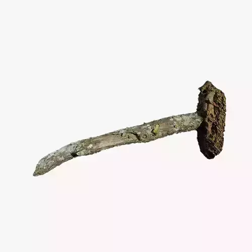 Anydrafts Pinus Branch 17