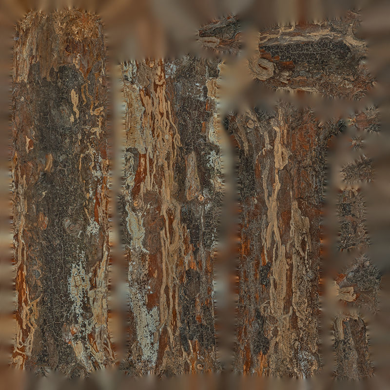 Anydrafts Pinus Branch 19 Low-poly 3D model_1