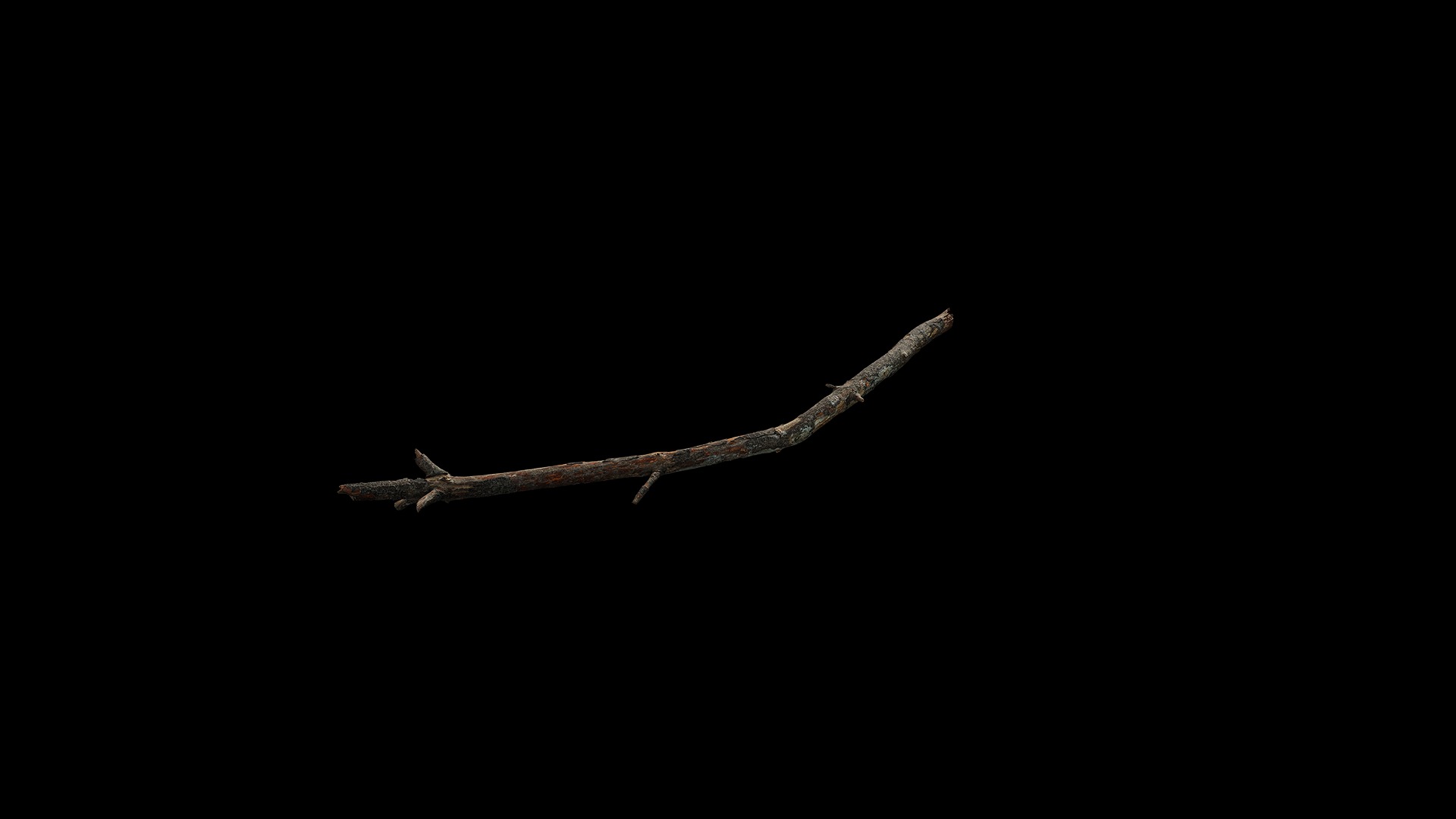 Anydrafts Pinus Branch 19 Low-poly 3D model_7