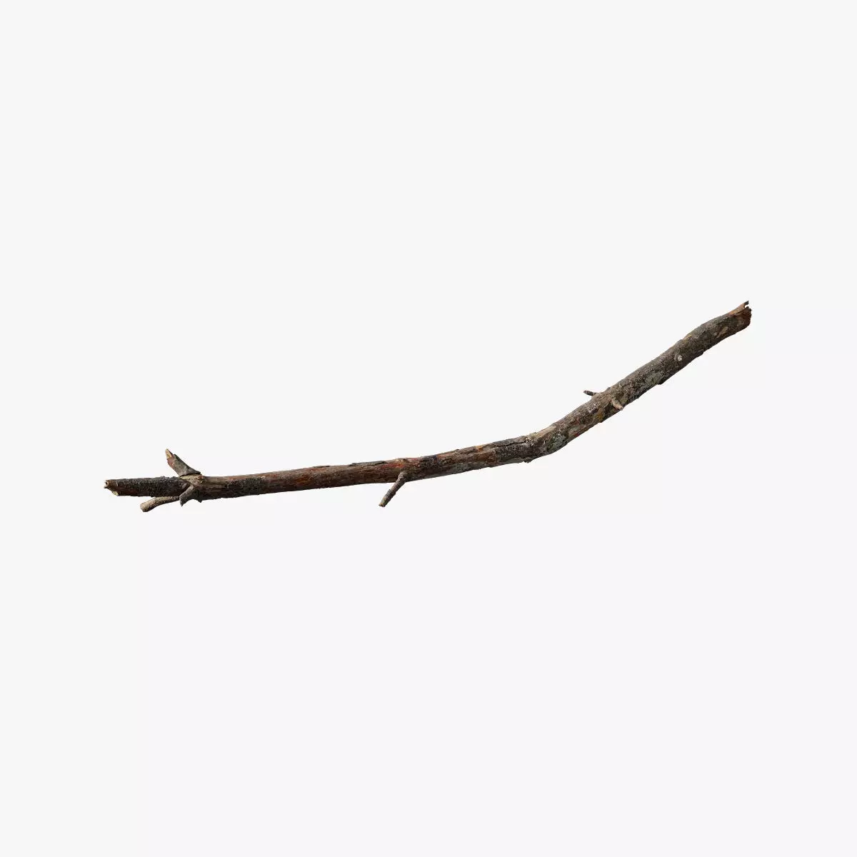 Anydrafts Pinus Branch 19 Low-poly 3D model_0