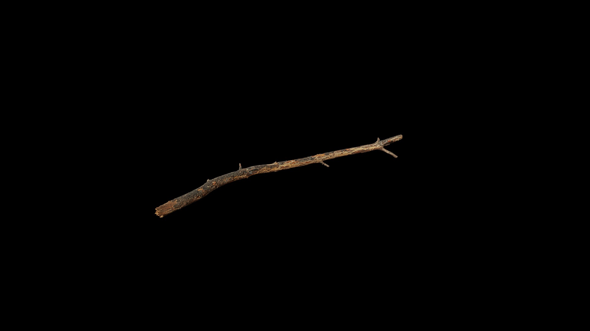 Anydrafts Pinus Branch 19 Low-poly 3D model_6