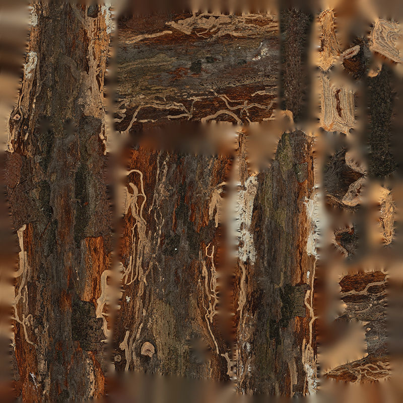 Anydrafts Pinus Branch 20 Low-poly 3D model_1