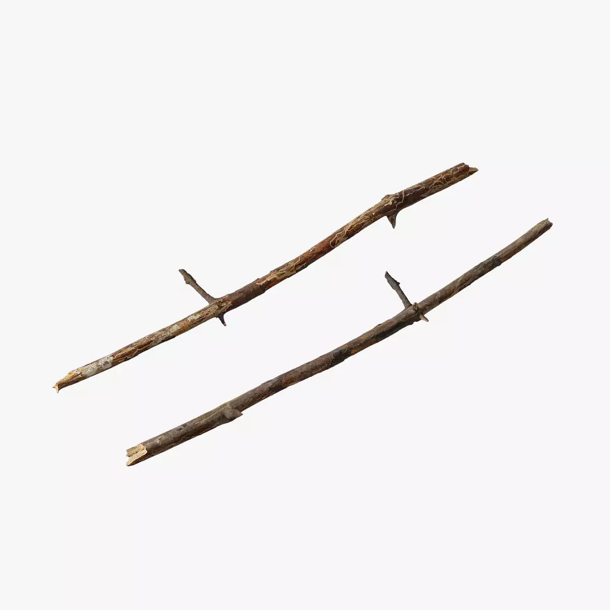 Anydrafts Pinus Branch 20 Low-poly 3D model_0