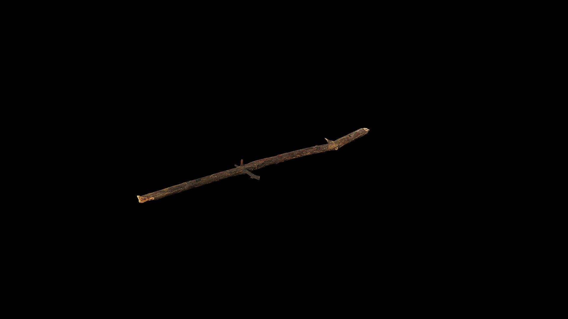 Anydrafts Pinus Branch 20 Low-poly 3D model_6