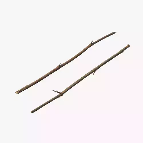 Anydrafts Pinus Branch 21