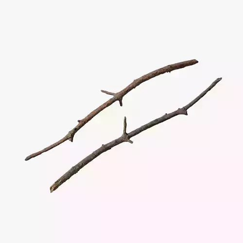 Anydrafts Pinus Branch 22