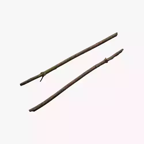 Anydrafts Pinus Branch 23