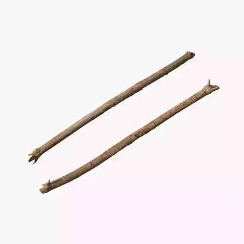 Anydrafts Pinus Branch 24