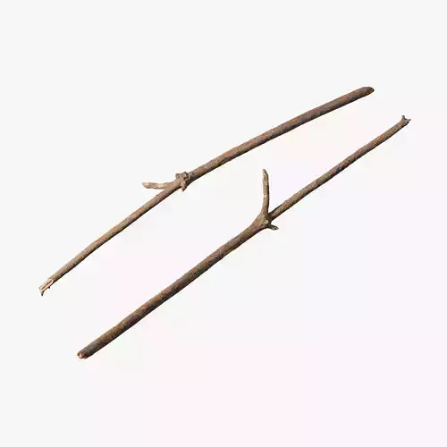 Anydrafts Pinus Branch 25