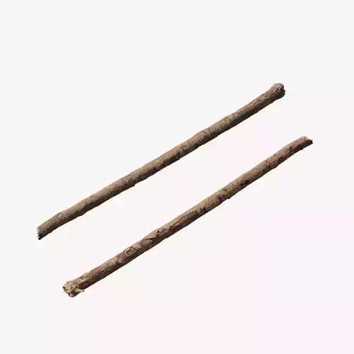 Anydrafts Pinus Branch 26