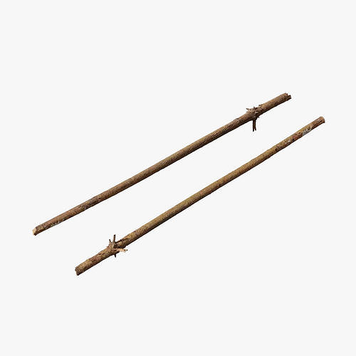 Anydrafts Pinus Branch 27 Low-poly 3D model