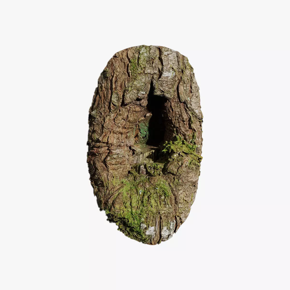 Anydrafts Pinus densata Burl 01 Low-poly 3D model