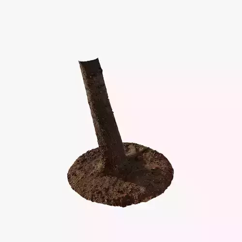 Anydrafts Pinus Trunk 02