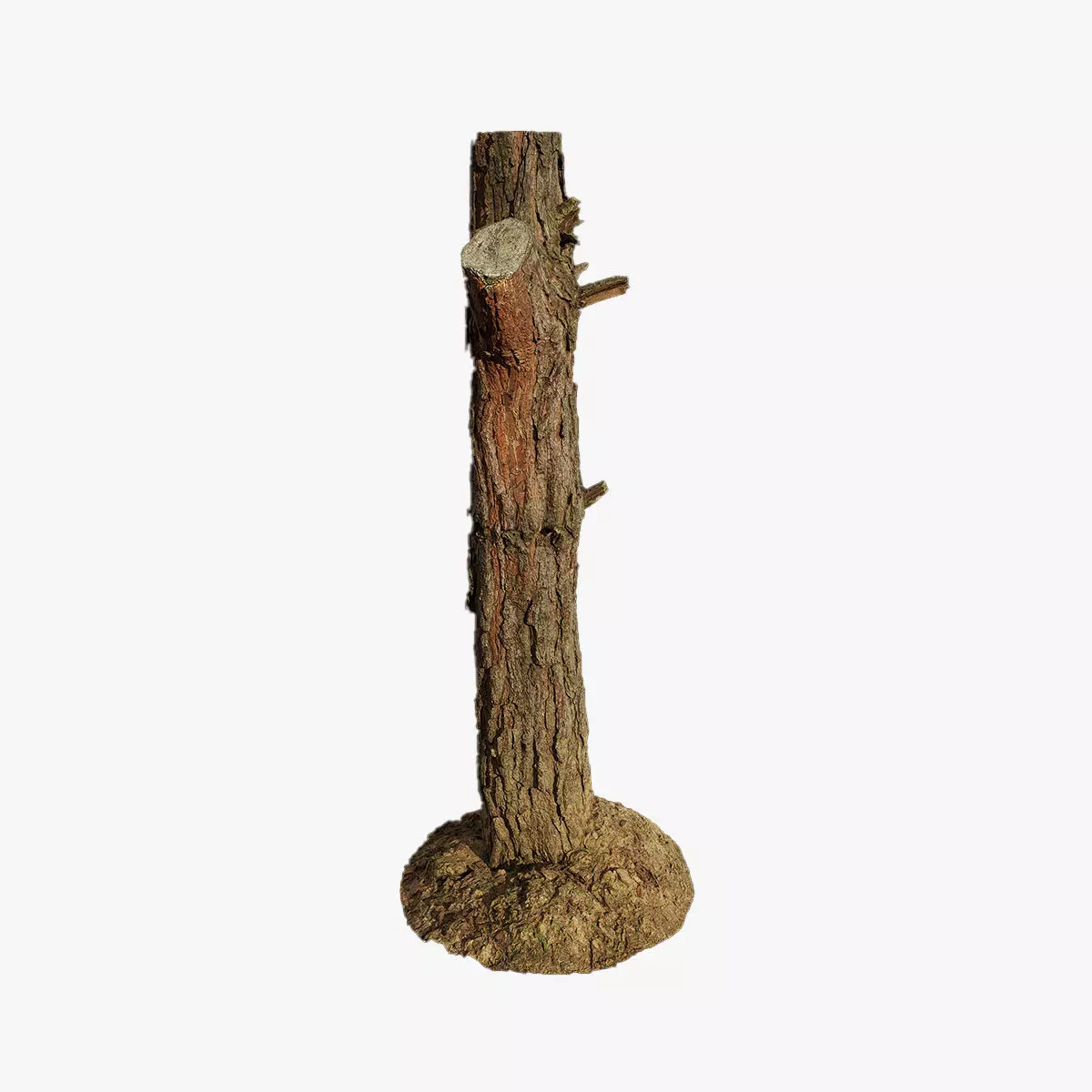 Anydrafts Pinus Trunk 03 Low-poly 3D model