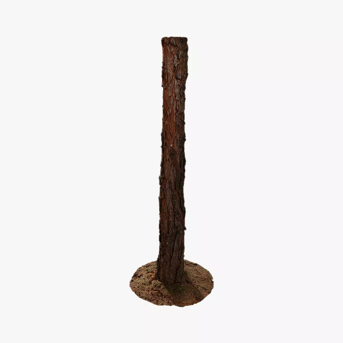 Anydrafts Pinus Trunk 07 Low-poly 3D model
