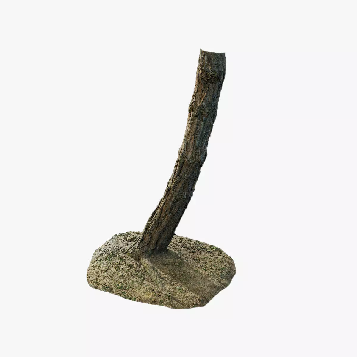 Anydrafts Pinus Trunk 14 Low-poly 3D model
