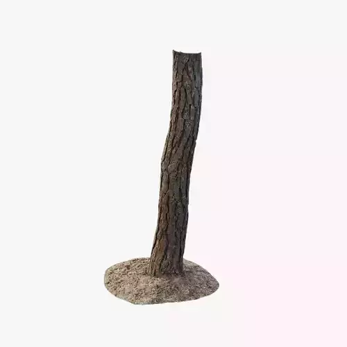 Anydrafts Pinus Trunk 17