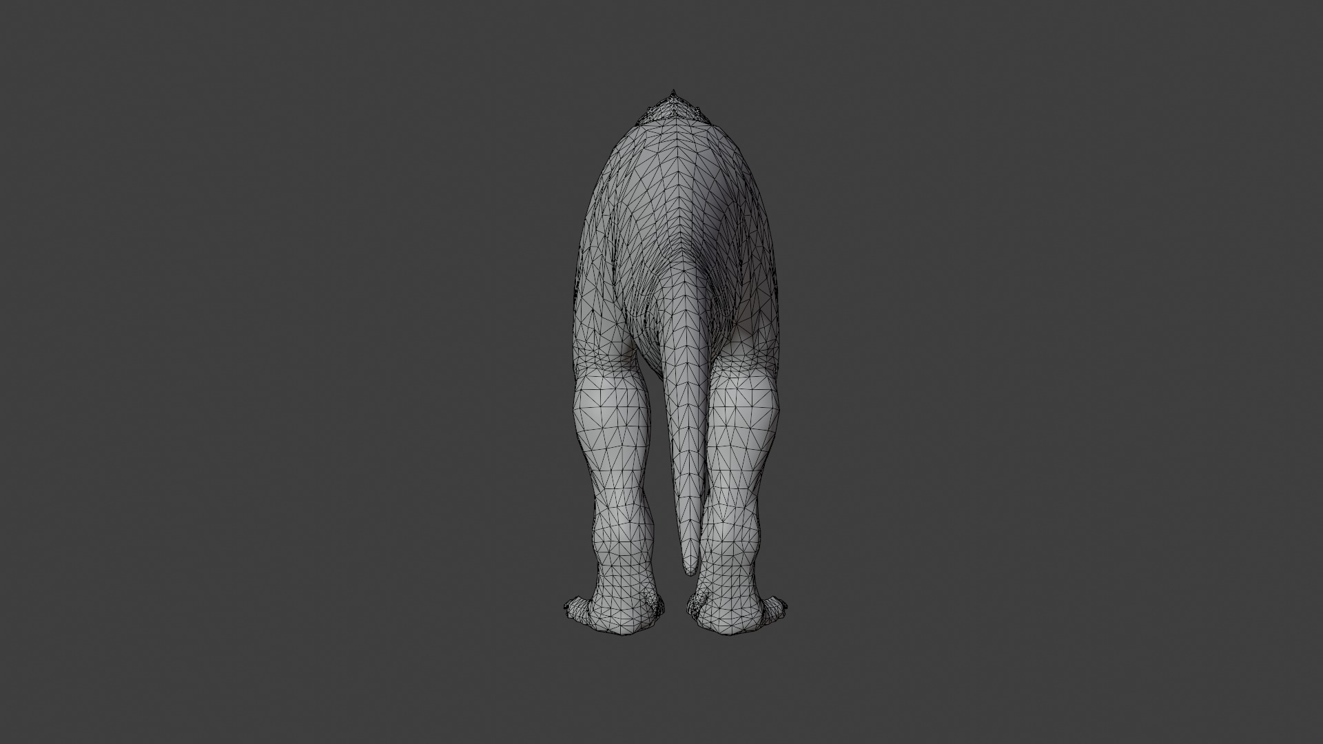 Rigged T-Rex 3D Model 3D model_12