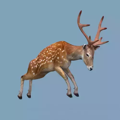 Pro Deer 8K - 3d animated