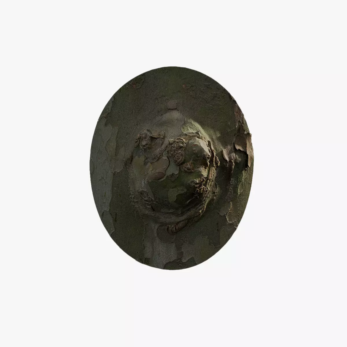 Anydrafts Platanus orientalis Burl 01 Low-poly 3D model