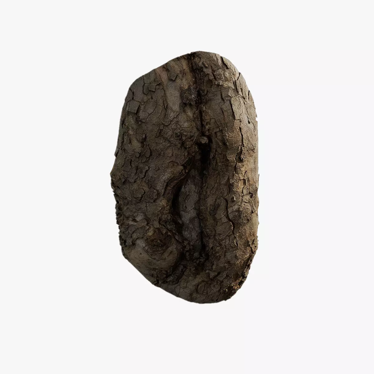 Anydrafts Platanus orientalis Burl 02 Low-poly 3D model