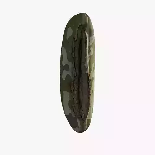 Anydrafts Platanus orientalis Burl 03