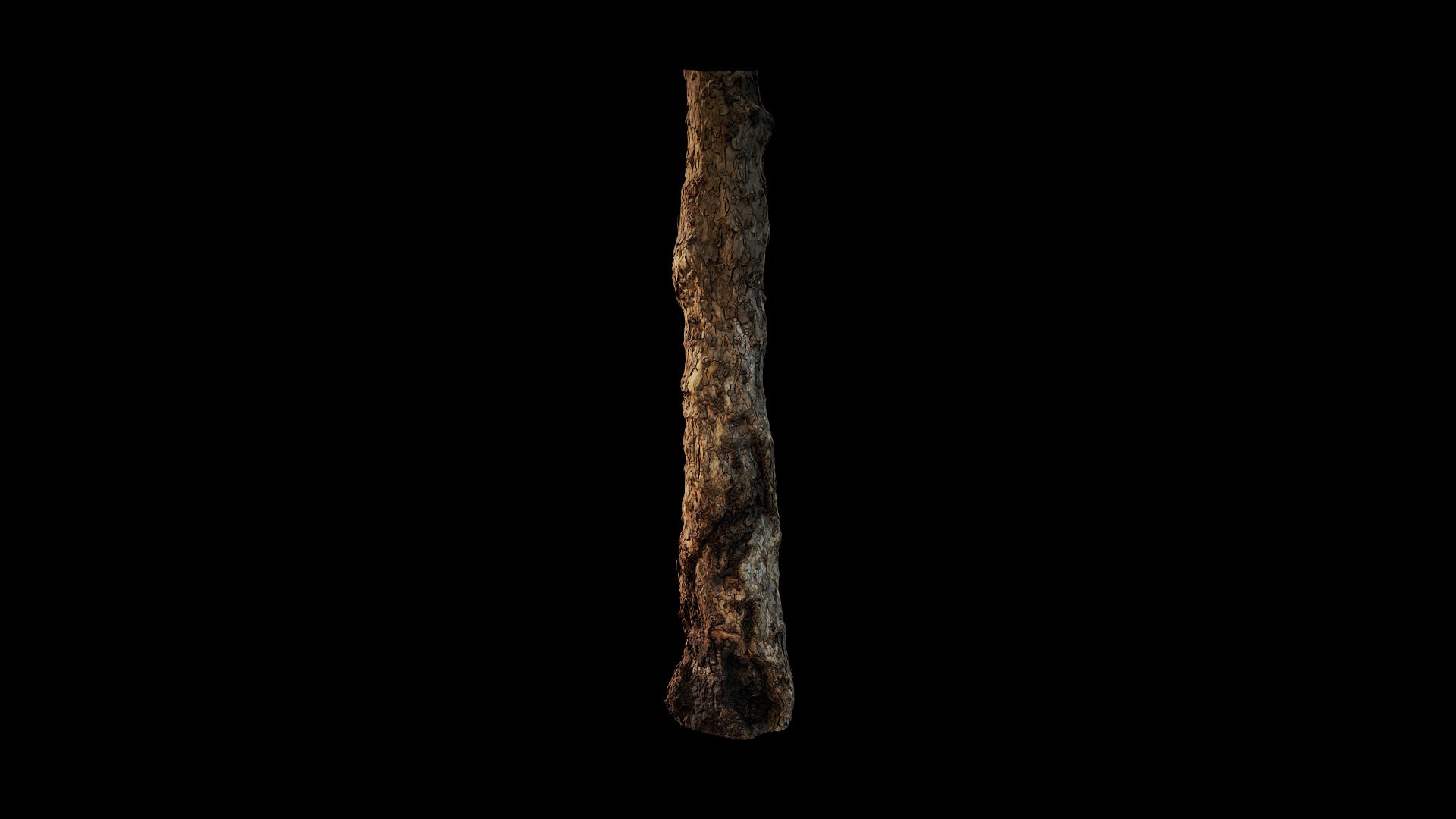 Anydrafts Platanus orientalis Trunk 02 Low-poly 3D model_6