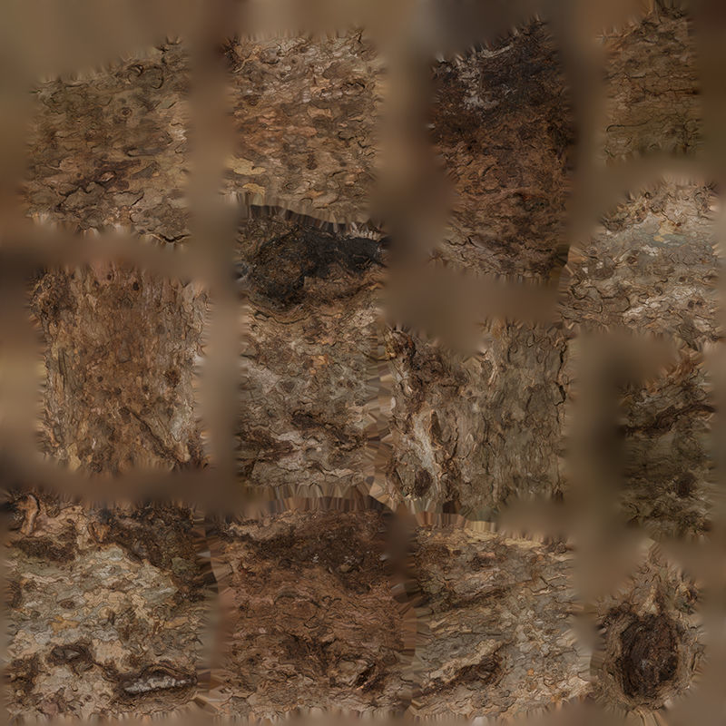 Anydrafts Platanus orientalis Trunk 02 Low-poly 3D model_1