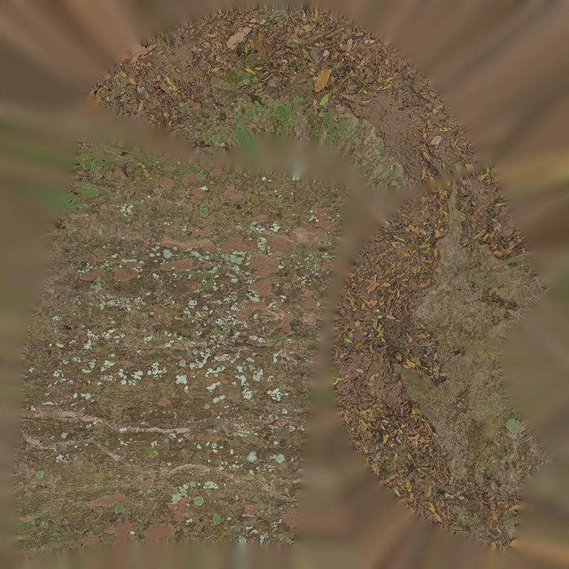 Anydrafts Podocarpus nagi Trunk 01 Low-poly 3D model_1