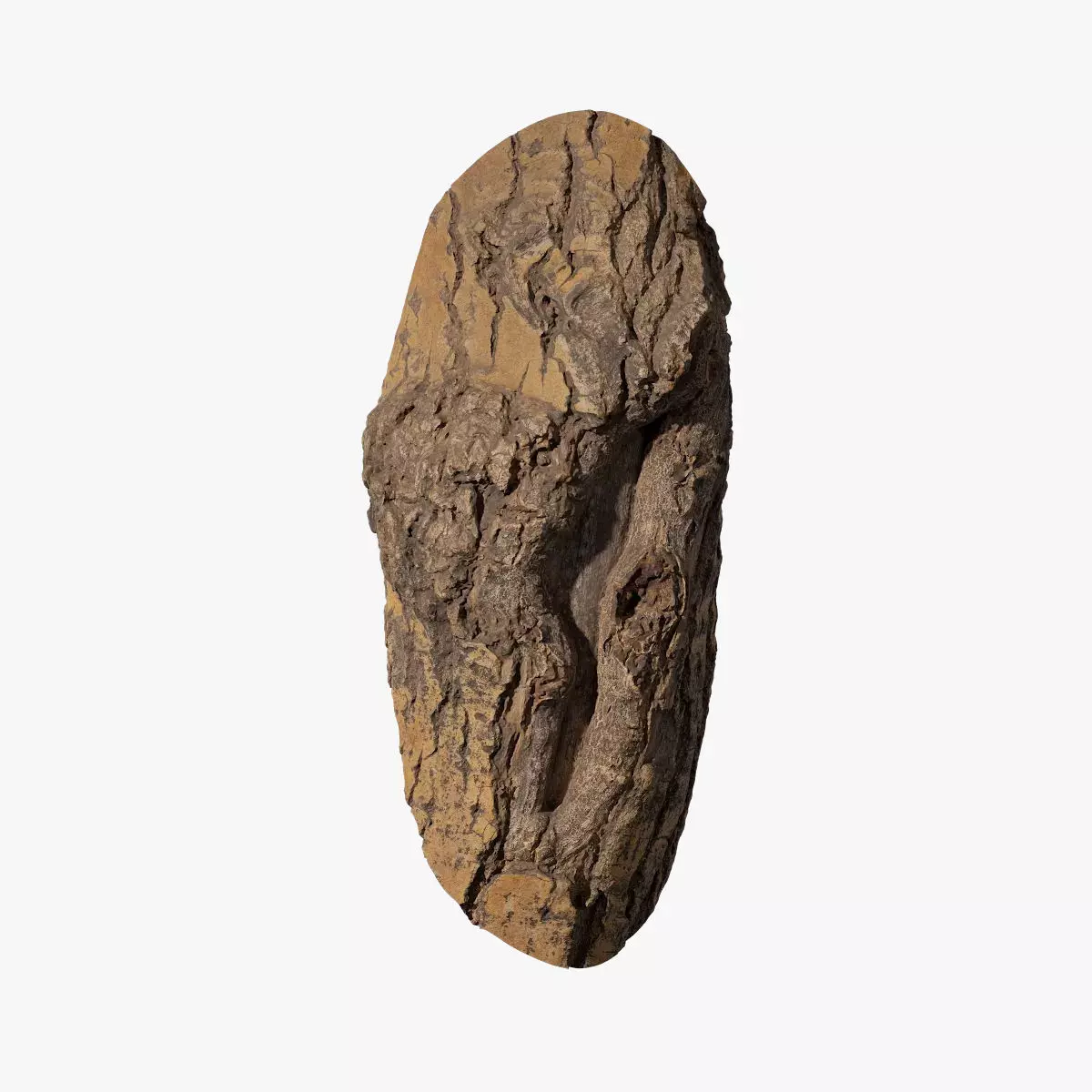 Anydrafts Populus simonii Burl 01 Low-poly 3D model
