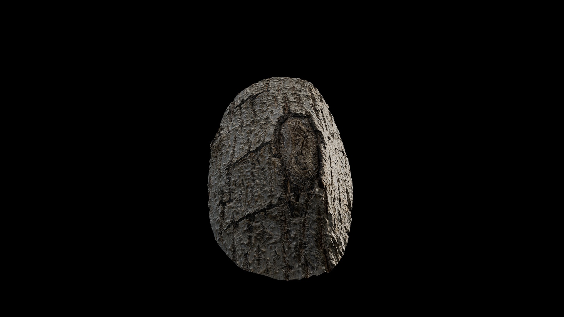 Anydrafts Populus x canadensis Burl 01 Low-poly 3D model_5