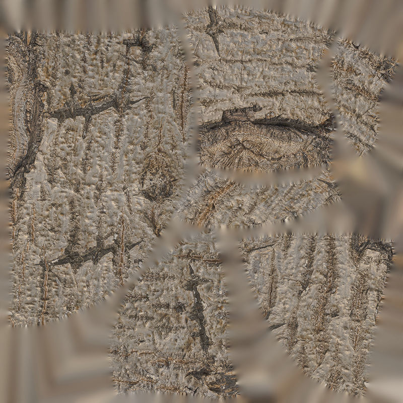 Anydrafts Populus x canadensis Burl 01 Low-poly 3D model_1