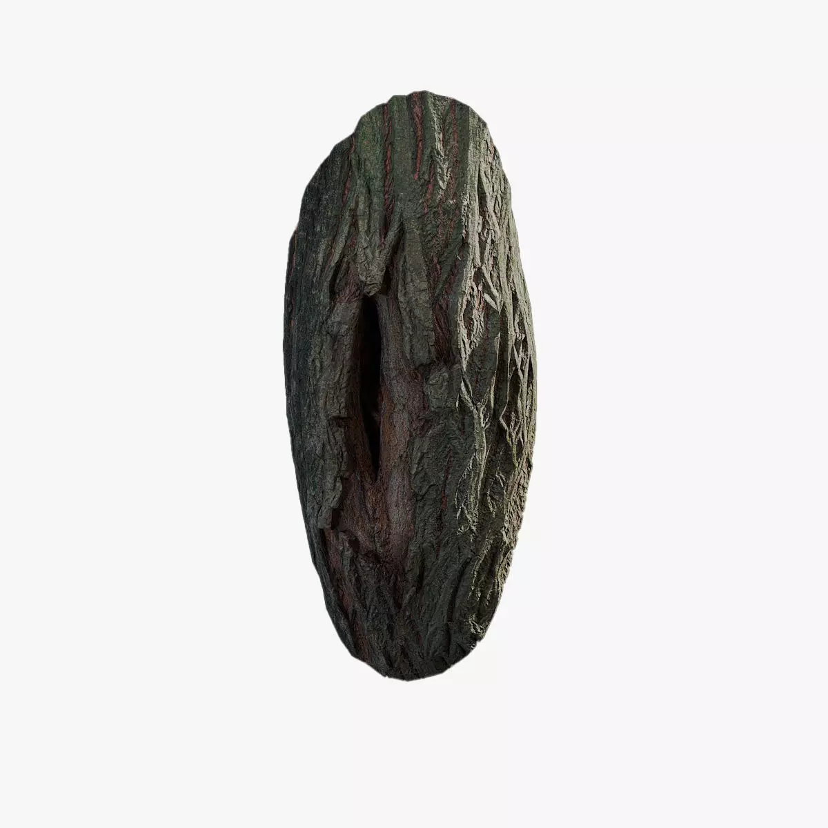 Anydrafts Pterocarya stenoptera Burl 06 Low-poly 3D model