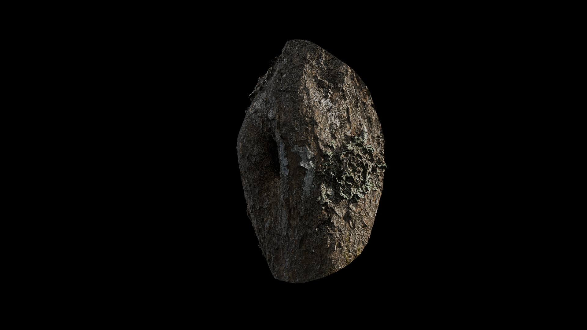 Anydrafts Rhododendron lapponicum Burl 01 Low-poly 3D model_4