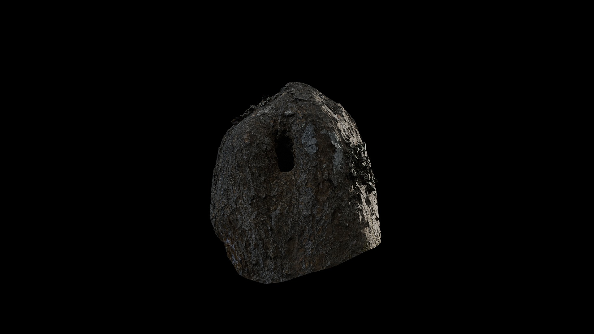 Anydrafts Rhododendron lapponicum Burl 01 Low-poly 3D model_5