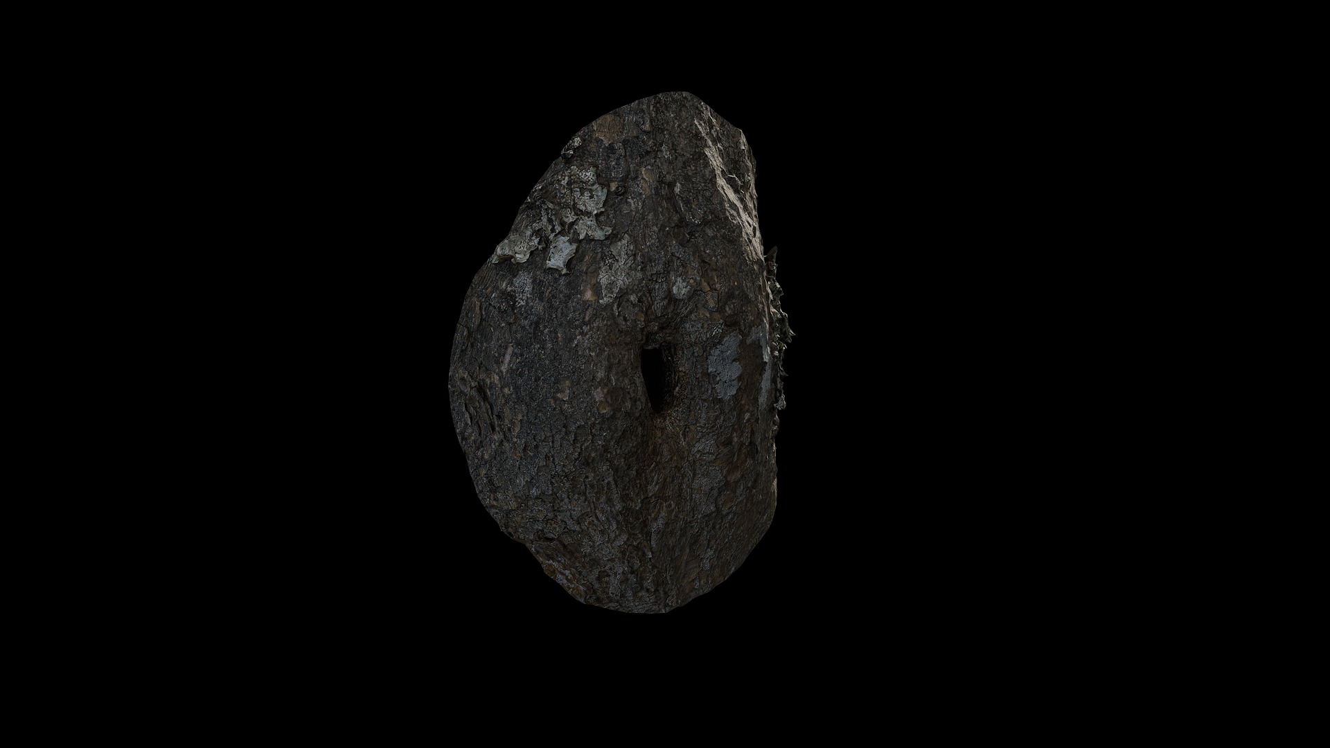 Anydrafts Rhododendron lapponicum Burl 01 Low-poly 3D model_8