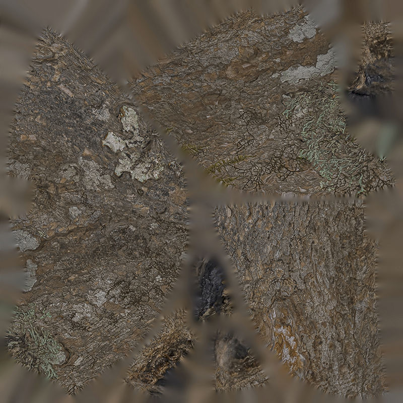 Anydrafts Rhododendron lapponicum Burl 01 Low-poly 3D model_1