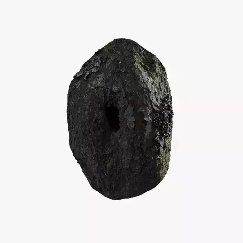 Anydrafts Rhododendron lapponicum Burl 01