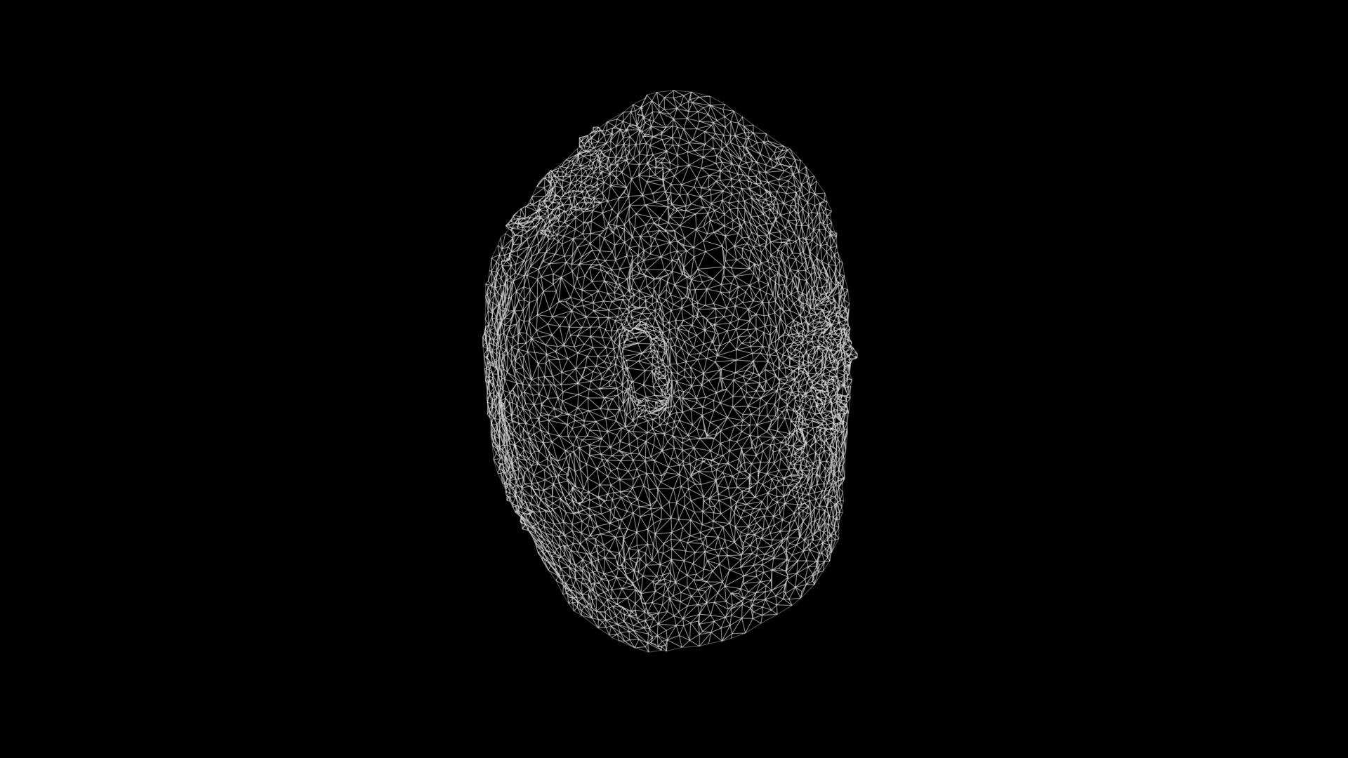 Anydrafts Rhododendron lapponicum Burl 01 Low-poly 3D model_3