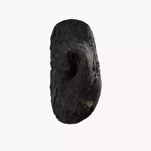 Anydrafts Rhododendron lapponicum Burl 02