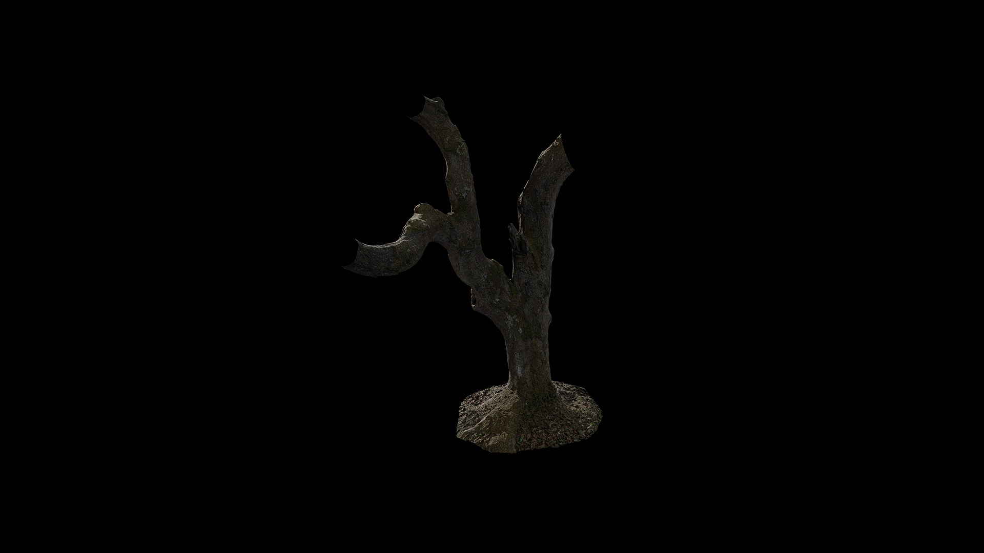 Anydrafts Rhododendron lapponicum Trunk 01 Low-poly 3D model_5