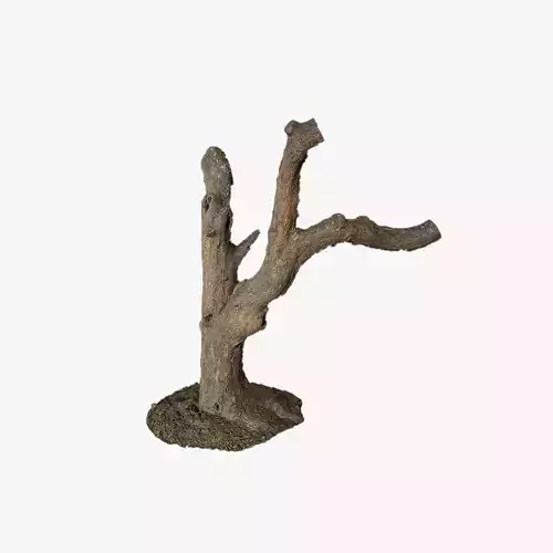 Anydrafts Rhododendron lapponicum Trunk 01