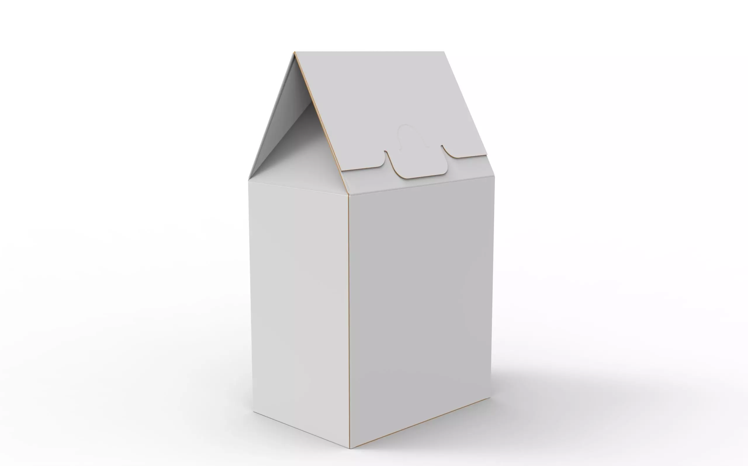 Gable Top Cardboard Packaging Box 100x115x70mm Texture