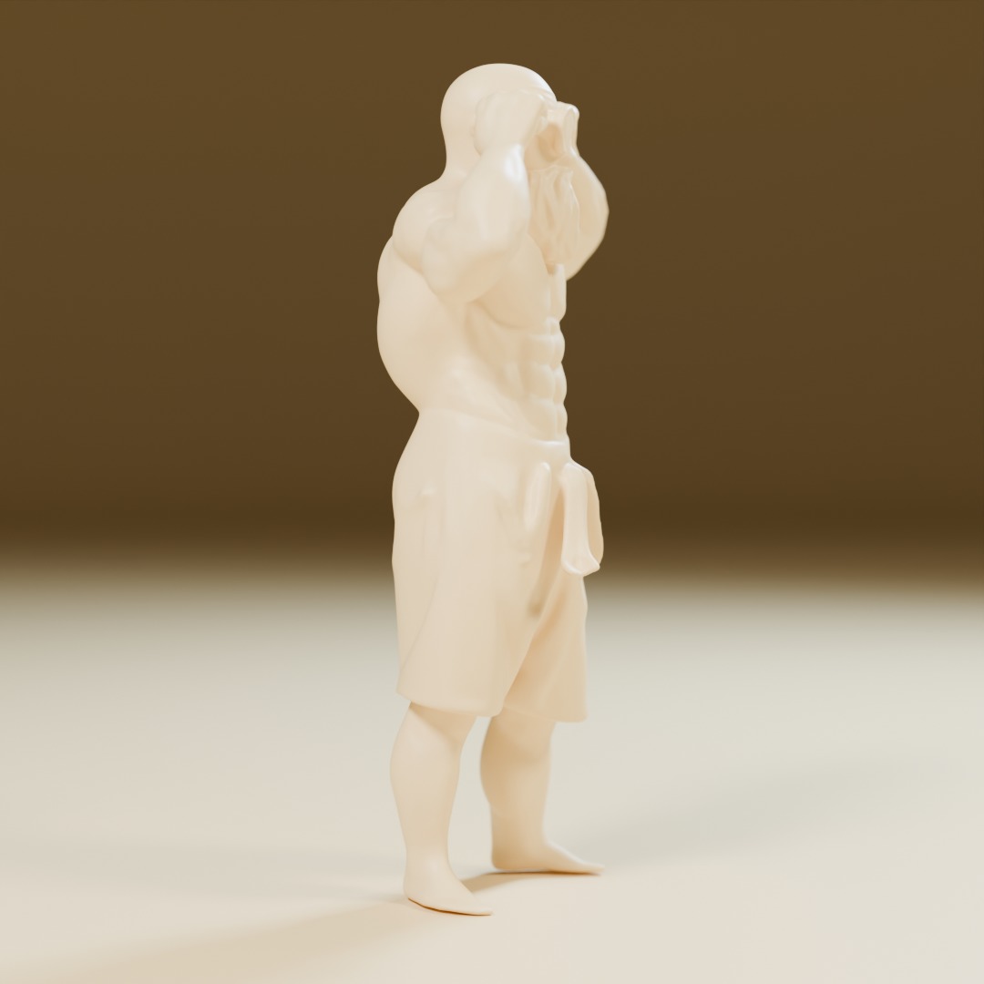 Mestre Kame  Master Roshi 3D print model_3