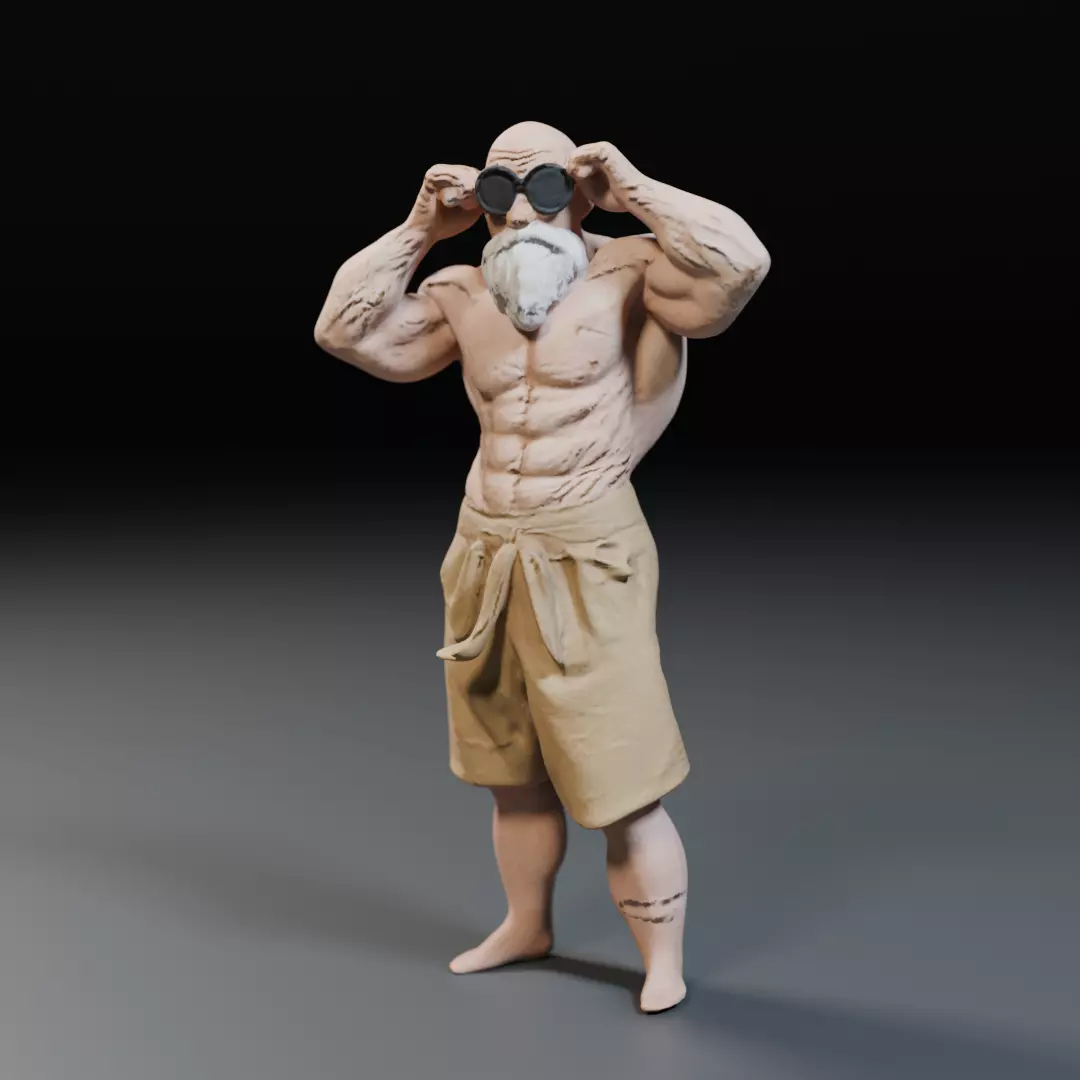 Mestre Kame  Master Roshi 3D print model_0