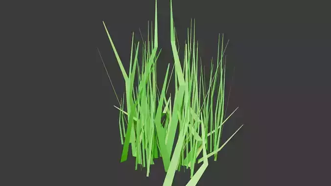 GRASS